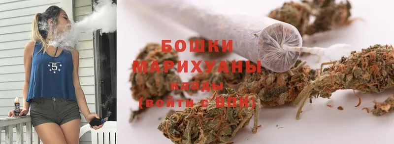 Бошки марихуана THC 21%  как найти наркотики  Курган 